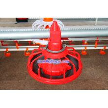 Poultry Equipment in Livestock with Prefab House Construction in High Quality